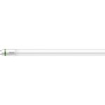 Philips MASTER LED Tube T8 (EM/Mains) Ultra Efficiency 11.9W 2500lm - 865 Daglys | 120cm - Erstatter 36W