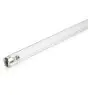 Philips T8 UV - C 36W - Ultrafiolett | 120cm