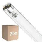 Fordelspakning 25x Philips T8 UV - C 17W - Ultrafiolett | 60cm