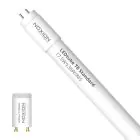 Noxion LED Lysrør T8 Avant (EM/Mains) Standard Output 15W 1800lm - 865 Daglys | 120cm - Erstatter 36W